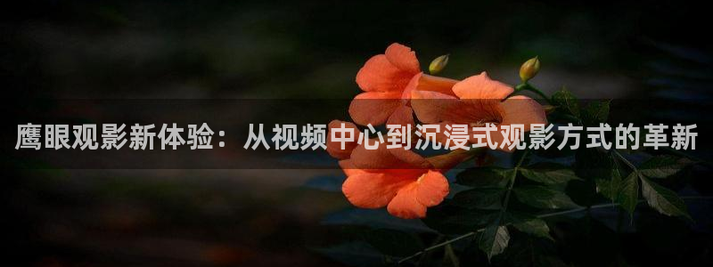 银娇神马电影：鹰眼观影新体验：从视频中心到沉浸式观影方式的革新