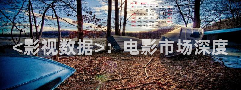 good神马电影：<影视数据>：电影市场深度