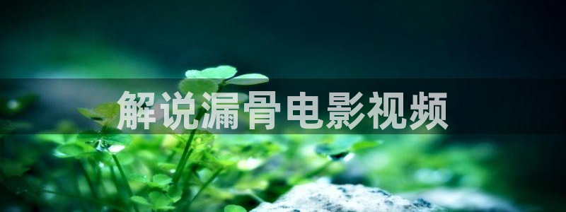 神马不卡我不卡影院：解说漏骨电影视频