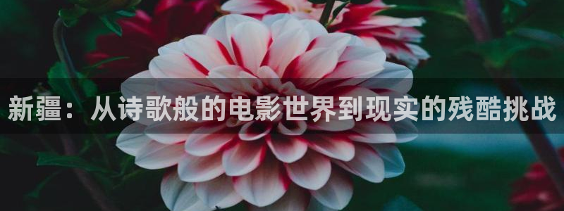 神马电视剧电影免费：新疆：从诗歌般的电影世界到现实的残酷挑战