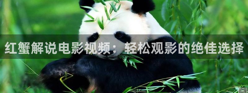 神马成人伦理片：红蟹解说电影视频：轻松观影的绝佳选择