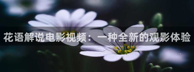 我不卡神马电影院电影：花语解说电影视频：一种全新的观影体验